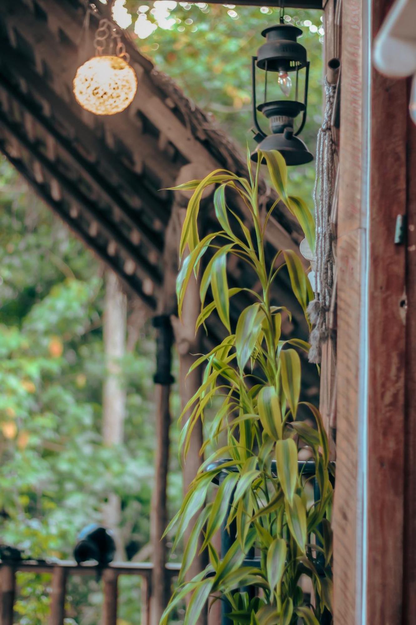 Hostal Tree House Ella Luaran gambar